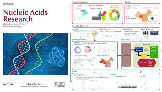 徐書華研究組和生物醫(yī)學(xué)大數(shù)據(jù)中心發(fā)布漢族10萬人基因組數(shù)據(jù)庫及在線分析平臺