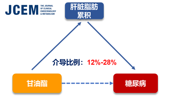 宗耕、林旭研究組在甘油酯生物標(biāo)記物與2型糖尿病發(fā)病風(fēng)險(xiǎn)研究方面取得進(jìn)展