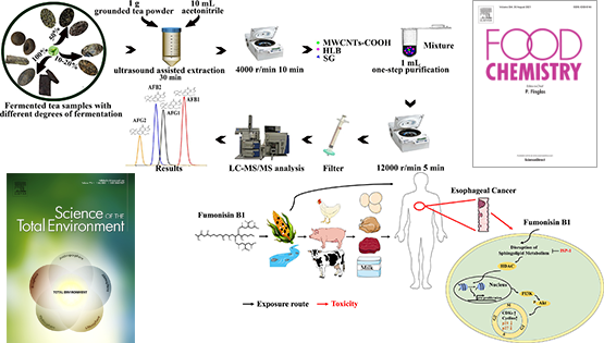 營(yíng)養(yǎng)與健康所武愛波研究組在發(fā)酵茶黃曲霉毒素精準(zhǔn)檢測(cè)與伏馬菌素致毒解毒新機(jī)制方面取得進(jìn)展