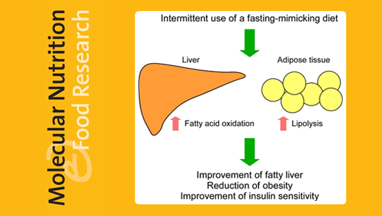 營養(yǎng)與健康所陳雁研究組發(fā)現(xiàn)間歇性節(jié)食可以改善脂肪肝