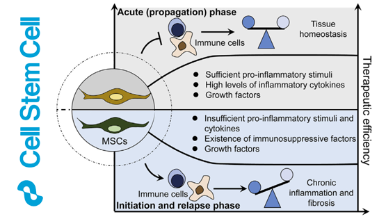 營養(yǎng)與健康所王瑩研究員合作撰寫《間充質(zhì)干細(xì)胞與免疫反應(yīng)互作》的特邀綜述