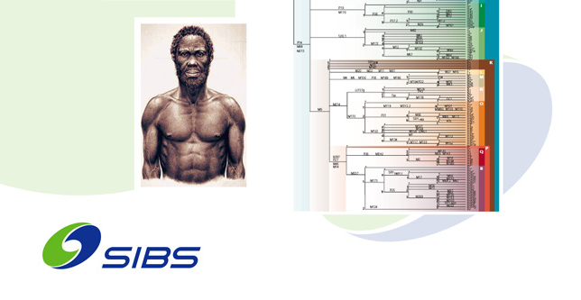 現(xiàn)代計(jì)算技術(shù)探索人類起源