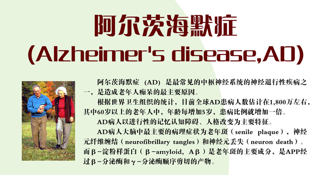 阿爾茨海默癥