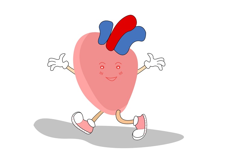 營養(yǎng)與疾病——心血管疾病