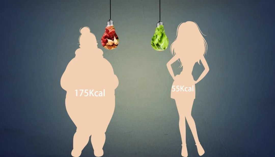 你知道節(jié)食后體脂為什么會反彈嗎？怎樣預(yù)防呢？