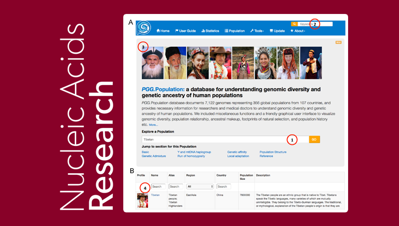 中國科學院上海營養(yǎng)與健康研究院研究人員發(fā)布首個全球人群基因組多樣性和祖源信息數據庫