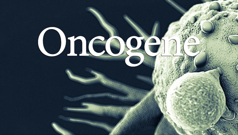 中國科學(xué)院上海營養(yǎng)與健康研究院科研人員發(fā)現(xiàn)hnRNPK調(diào)控的MRPL33剪接在結(jié)腸癌中的重要功能