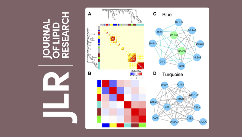 林旭研究組在多不飽和脂肪酸與代謝綜合征發(fā)病風(fēng)險(xiǎn)研究方面取得進(jìn)展