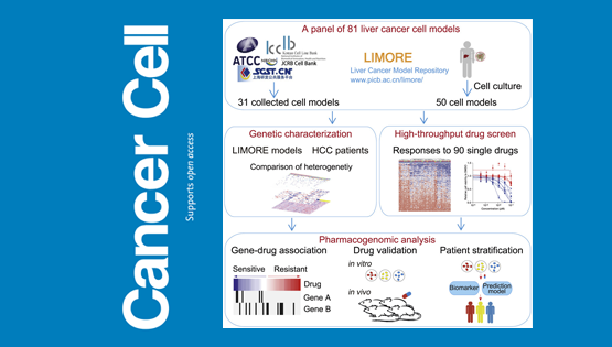 李亦學(xué)研究組合作繪制肝癌藥物基因組學(xué)的“藍(lán)圖”