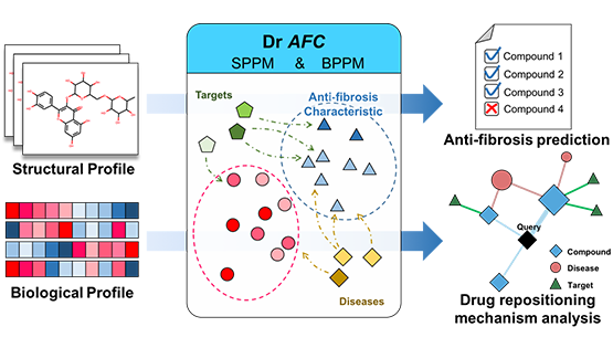 大數(shù)據(jù)中心合作發(fā)布基于化合物抗纖維化特征的藥物重定位平臺
