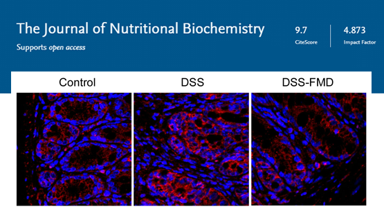 營養(yǎng)與健康所陳雁研究組發(fā)現(xiàn)改善炎癥性腸?。↖BD）的營養(yǎng)干預方法