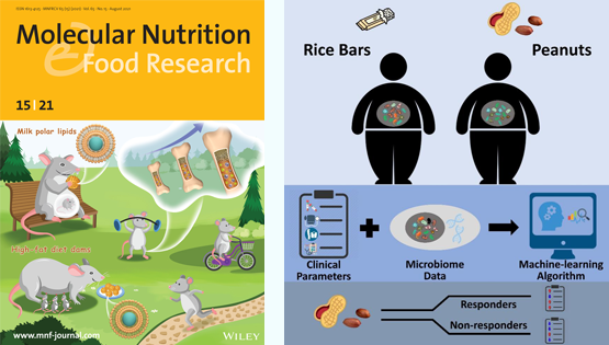營養(yǎng)與健康所陳雁、林旭研究組利用腸道菌群分析和機(jī)器學(xué)習(xí)算法揭示精準(zhǔn)營養(yǎng)在干預(yù)代謝綜合征中的作用