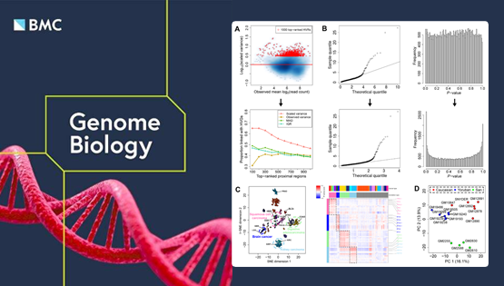 營(yíng)養(yǎng)與健康所邵振研究組發(fā)展ChIP/ATAC-seq高變信號(hào)檢測(cè)的表觀組異質(zhì)性分析統(tǒng)計(jì)模型HyperChIP