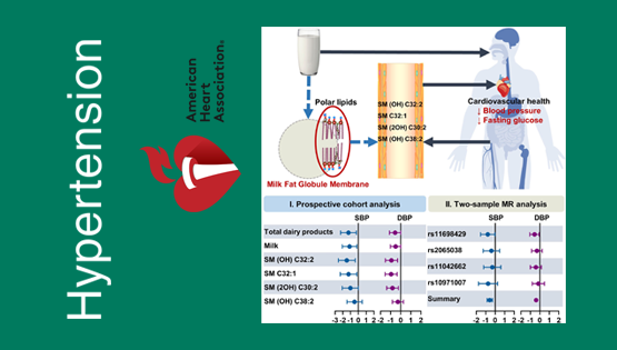 營養(yǎng)與健康所林旭、宗耕研究組在奶制品的脂質(zhì)組生物標記物與心血管疾病風險因素研究方面取得進展