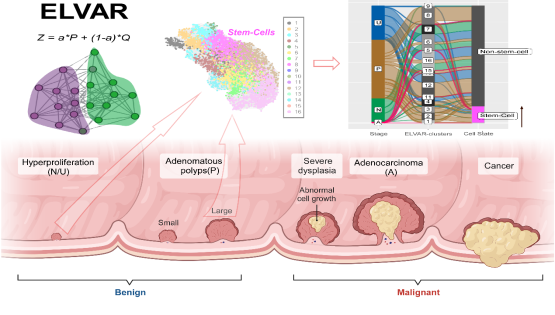 營養(yǎng)與健康所Andrew E. Teschendorff研究組開發(fā)新型單細(xì)胞數(shù)據(jù)細(xì)胞豐度檢測算法