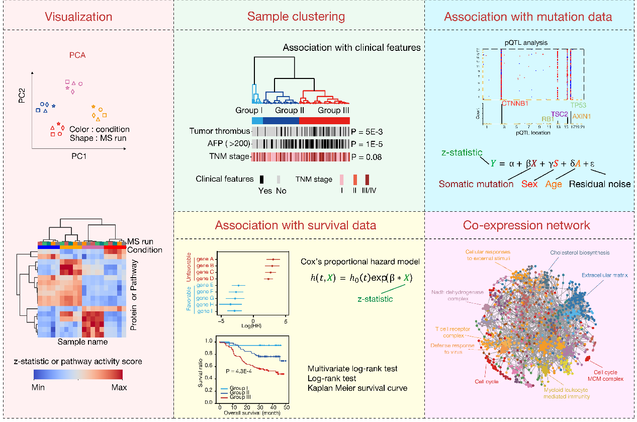 營養(yǎng)與健康所邵振與詹麗杏研究組合作開發(fā)蛋白質(zhì)組比較算法解析紅細胞分化和肝癌異質(zhì)性