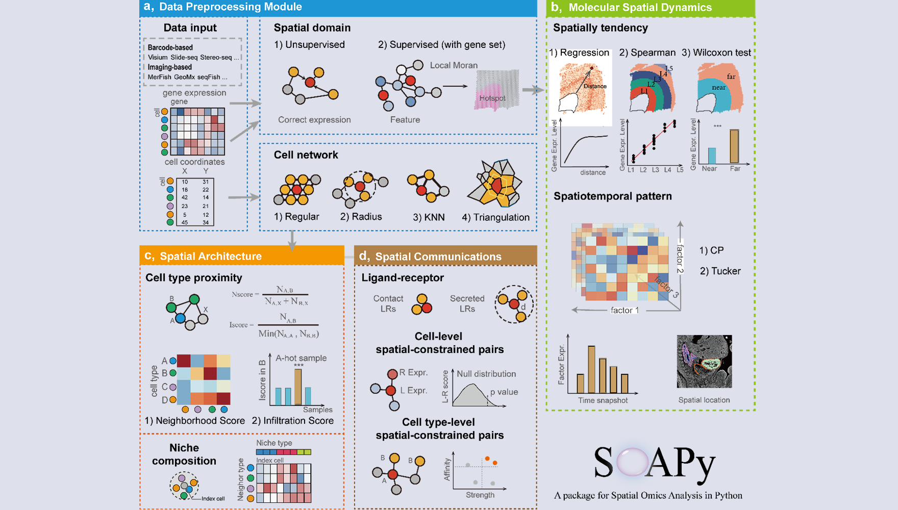 營(yíng)養(yǎng)與健康所李虹研究組開發(fā)面向空間組學(xué)的微環(huán)境解析工具包