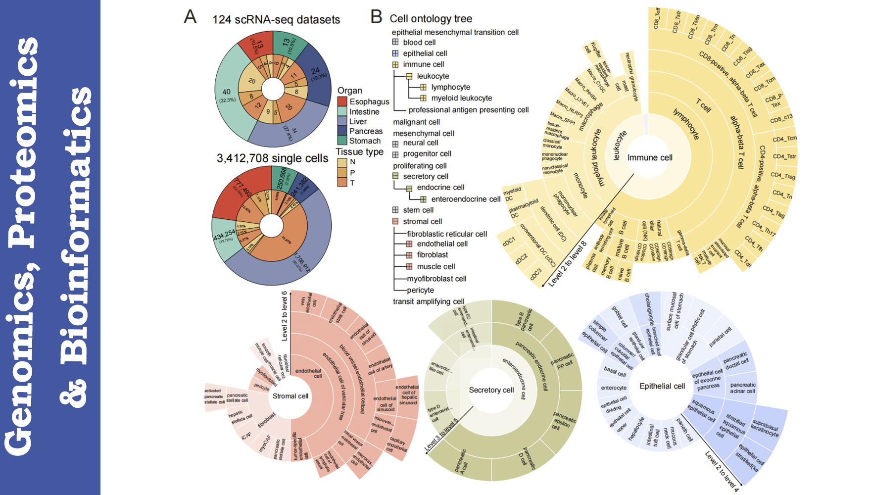 營養(yǎng)與健康所生物醫(yī)學(xué)大數(shù)據(jù)中心發(fā)布消化系統(tǒng)細(xì)胞標(biāo)志物庫