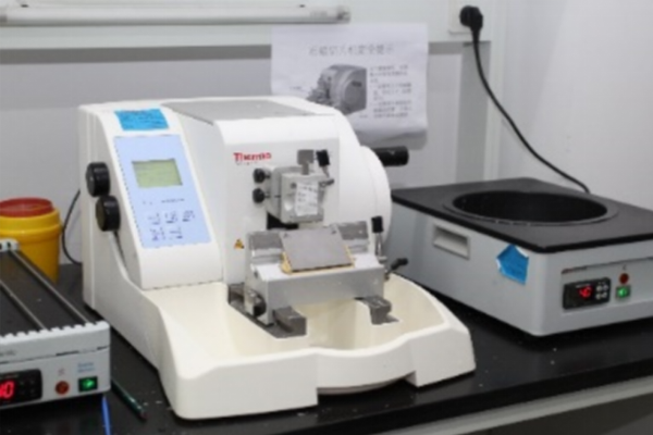 半自動輪轉式石蠟切片機