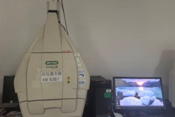 多功能熒光化學發(fā)光成像系統(tǒng)