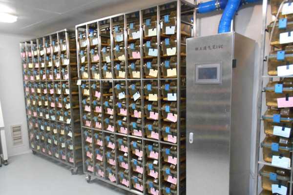 動物房IVC飼養(yǎng)系統(tǒng)MX64S8-3