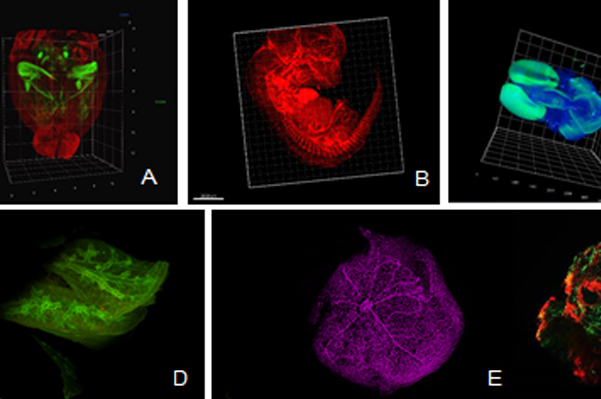 Uli Schwarz量化生物學(xué)質(zhì)量控制平臺(tái)